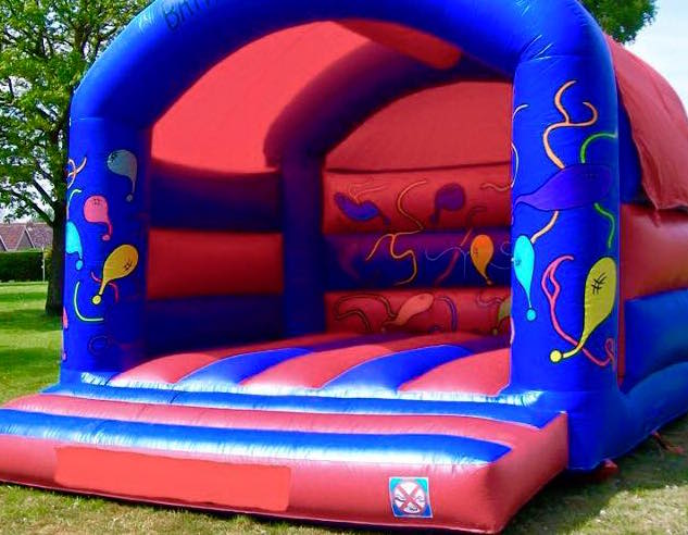 Balloons Large Bouncy Castle 17x17ft